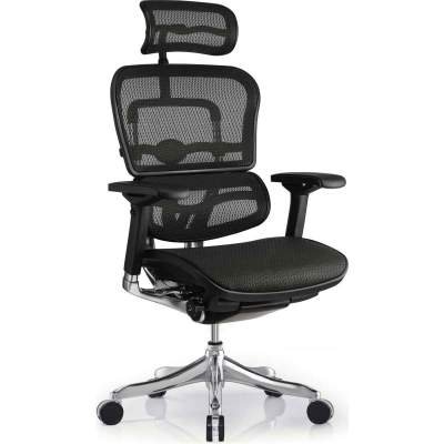 Ergohuman High Back Swivel Chair with Headrest